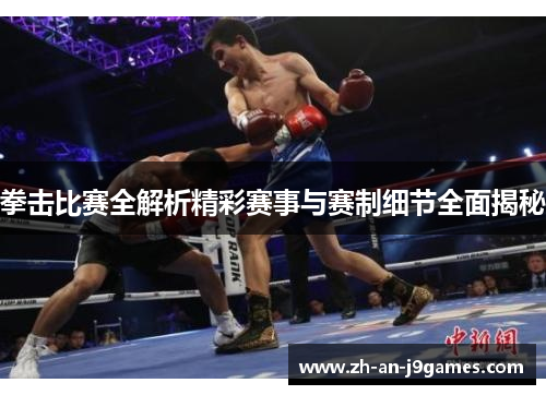 拳击比赛全解析精彩赛事与赛制细节全面揭秘