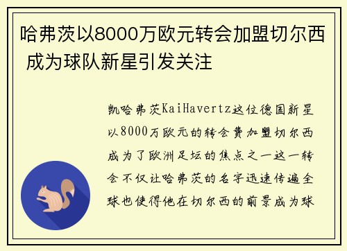 哈弗茨以8000万欧元转会加盟切尔西 成为球队新星引发关注