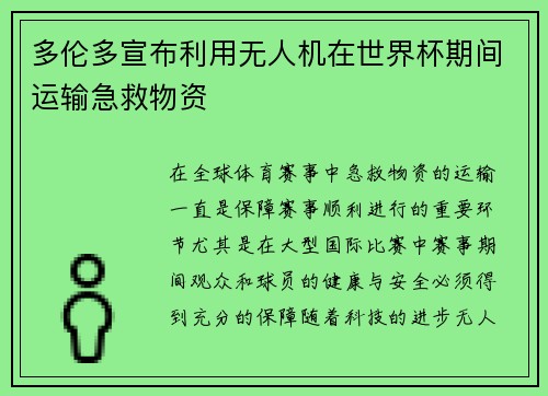 多伦多宣布利用无人机在世界杯期间运输急救物资